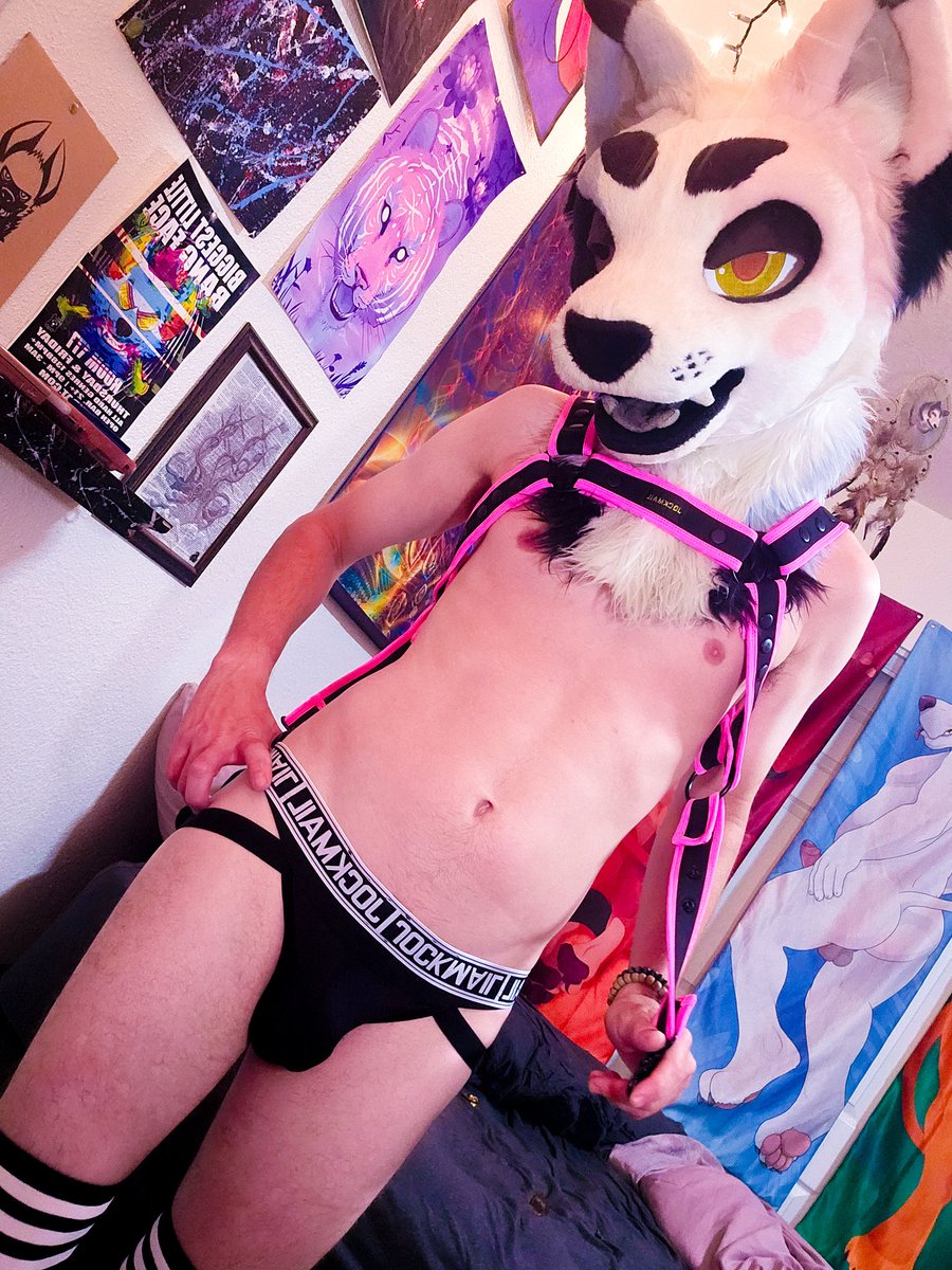 ABitMundane's tweet photo. 🔞[#NSFW]

Catto got some gear~ ♡

#furry #furries #fursuit #murrsuit #nsfw https://t.co/S5ucPOYO9d