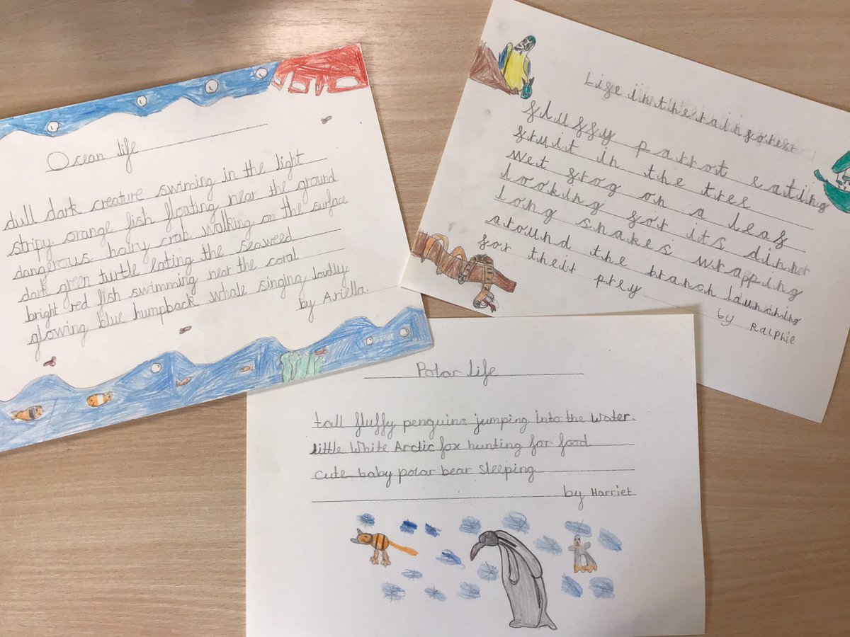 WhitegateBirch's tweet photo. What an amazing day celebrating David Attenborough’s birthday 🎉 and our world 🌎. We created poetry, painted rocks and planted flowers as part of our unselfish act. 🌸 🐞 🐛 @SchoolWhitegate https://t.co/j1Mk2Wutn5
