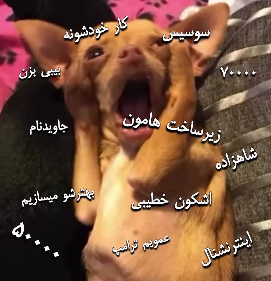 تیپیکال یه برانداز عادی: