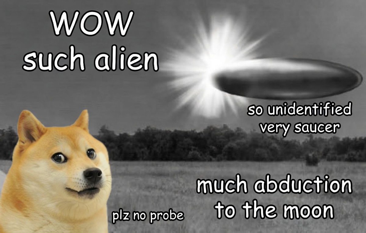 Own The Doge 🐶🖼 tweet media