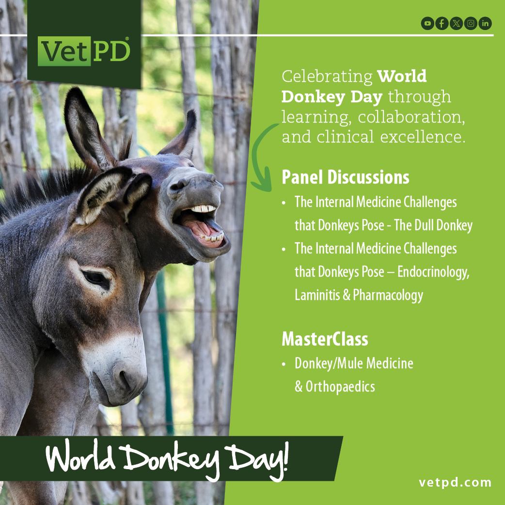 VetPD's tweet photo. This 𝗪𝗼𝗿𝗹𝗱 𝗗𝗼𝗻𝗸𝗲𝘆 𝗗𝗮𝘆, we celebrate these remarkable animals by deepening our understanding of their care. 

Panel Discussions
https://t.co/nHp43HVzhk
https://t.co/jSBKrPnevG

MasterClass
https://t.co/tlYzhKMV7t  

#WorldDonkeyDay #VetCE #DonkeyCare https://t.co/DgOpMsZ2nQ