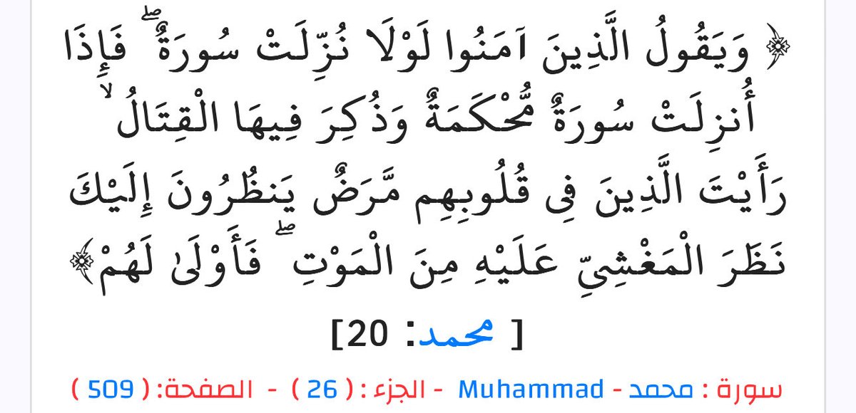 روح🪽 tweet media