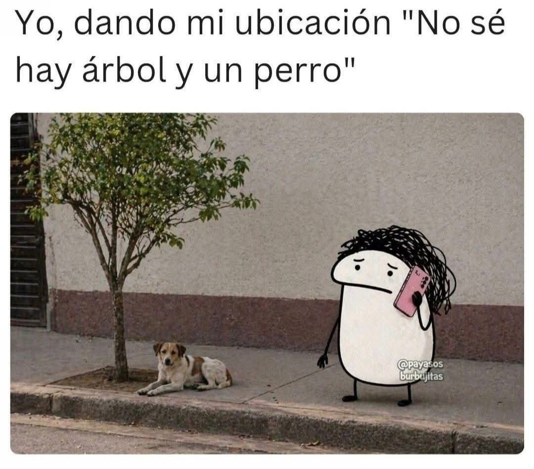 El Meme (@memessv7) on Twitter photo 