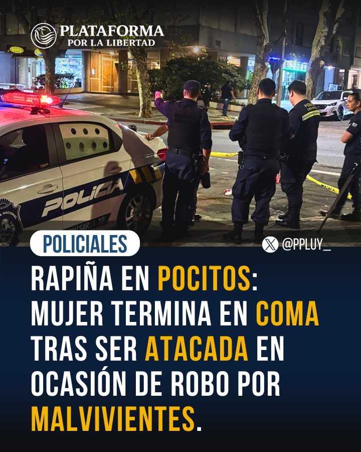 Militancia PPL tweet media
