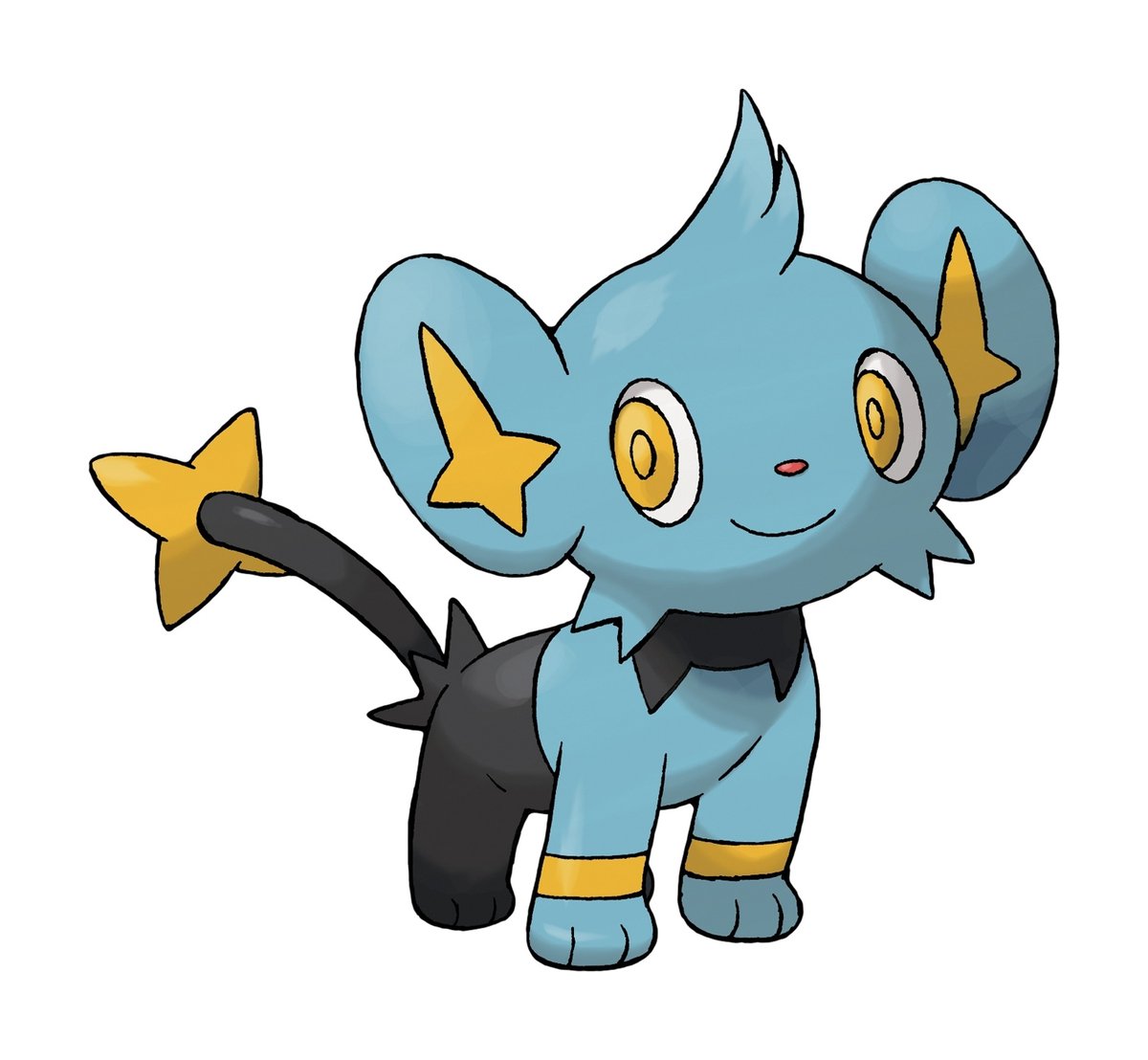 PokeDay tweet media