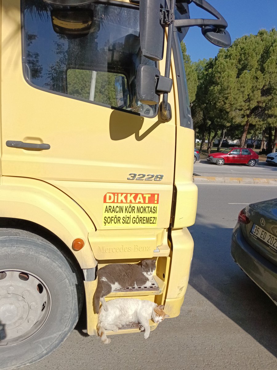 demet iskeçeli tweet media