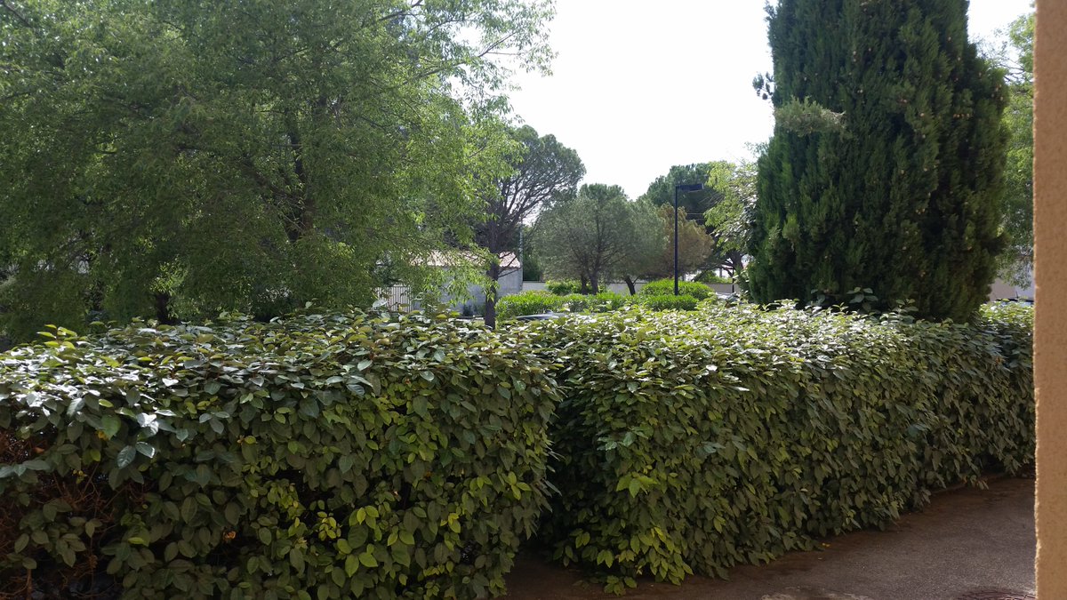 Today in Orange in the south of France, this is the view I have from the window of my living room