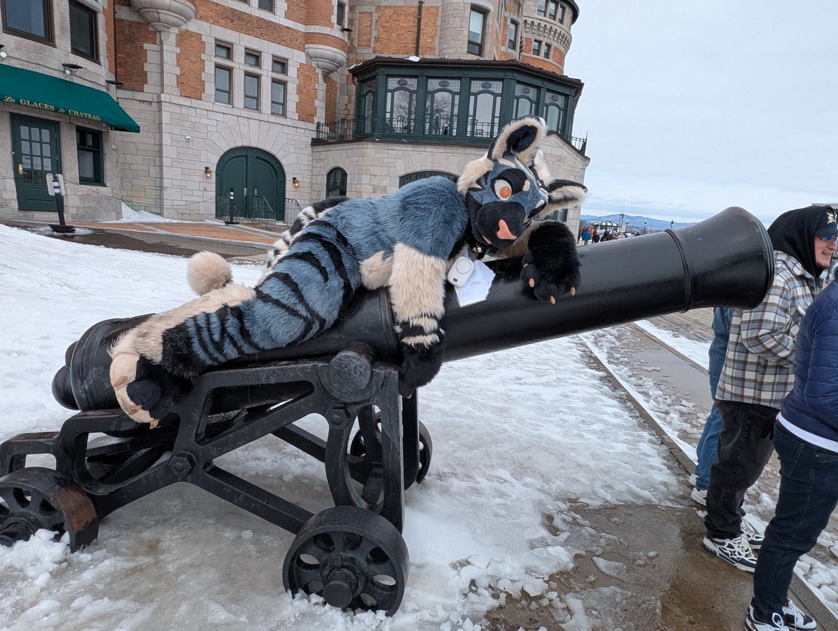 Calinousfur tweet picture