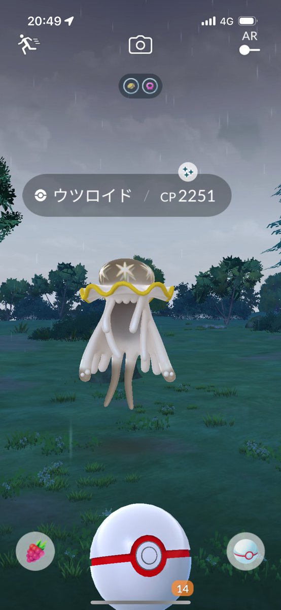 ローブシン@仙台 tweet media