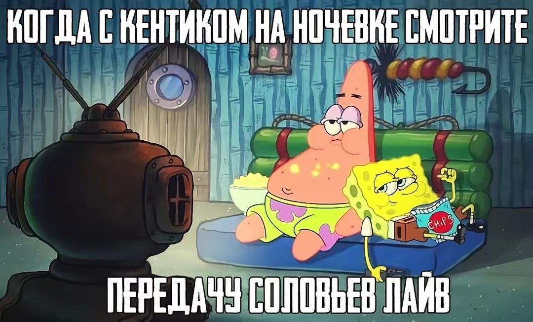 Илья tweet media
