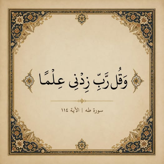haidymaged98's tweet photo. https://t.co/TXpclNLAlQ