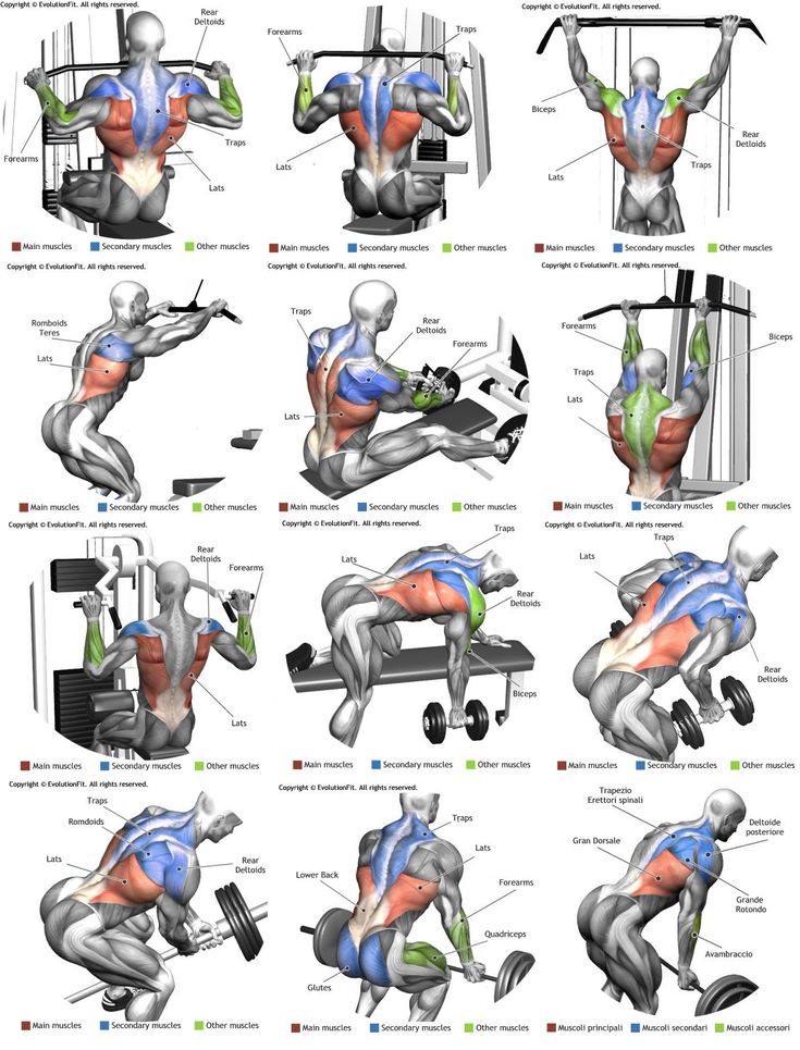 FitnessGuide0's tweet photo. Back workout https://t.co/VKmZUzfMYI