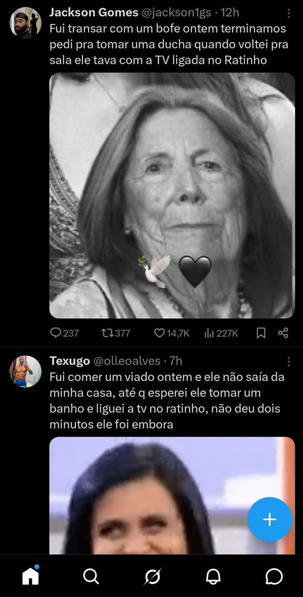 webdivo nettinho tweet media