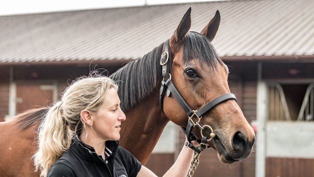 Racing Post Bloodstock tweet media