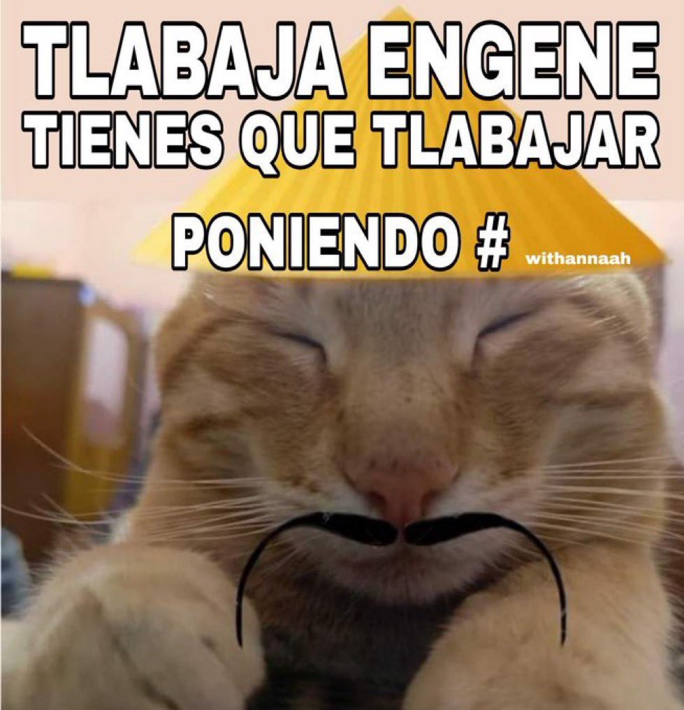 Flav⁷ | is seeing enha tweet media