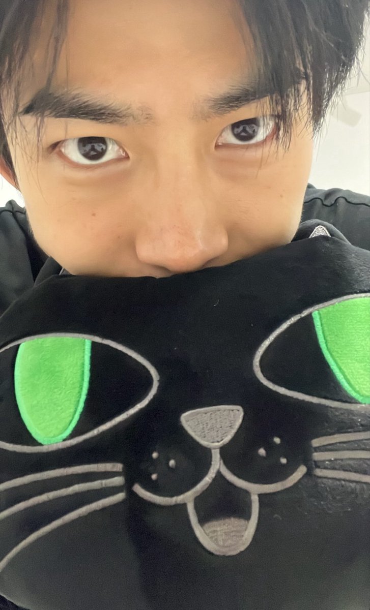 88MIKAcat's tweet photo. もう明日にはドームでペンラ振ってタオル回してる⁉️はずなのに😂　
しばらく振りすぎて、まだドキドキもなく実感湧かない😅

ネタバレ王の投稿待ってたのに、今回ネタバレが少なめな気がするwww

 #2PM 
#2PM_THE_RETURN #THE_RETURN_TokyoDome https://t.co/uBcMJcTSpo