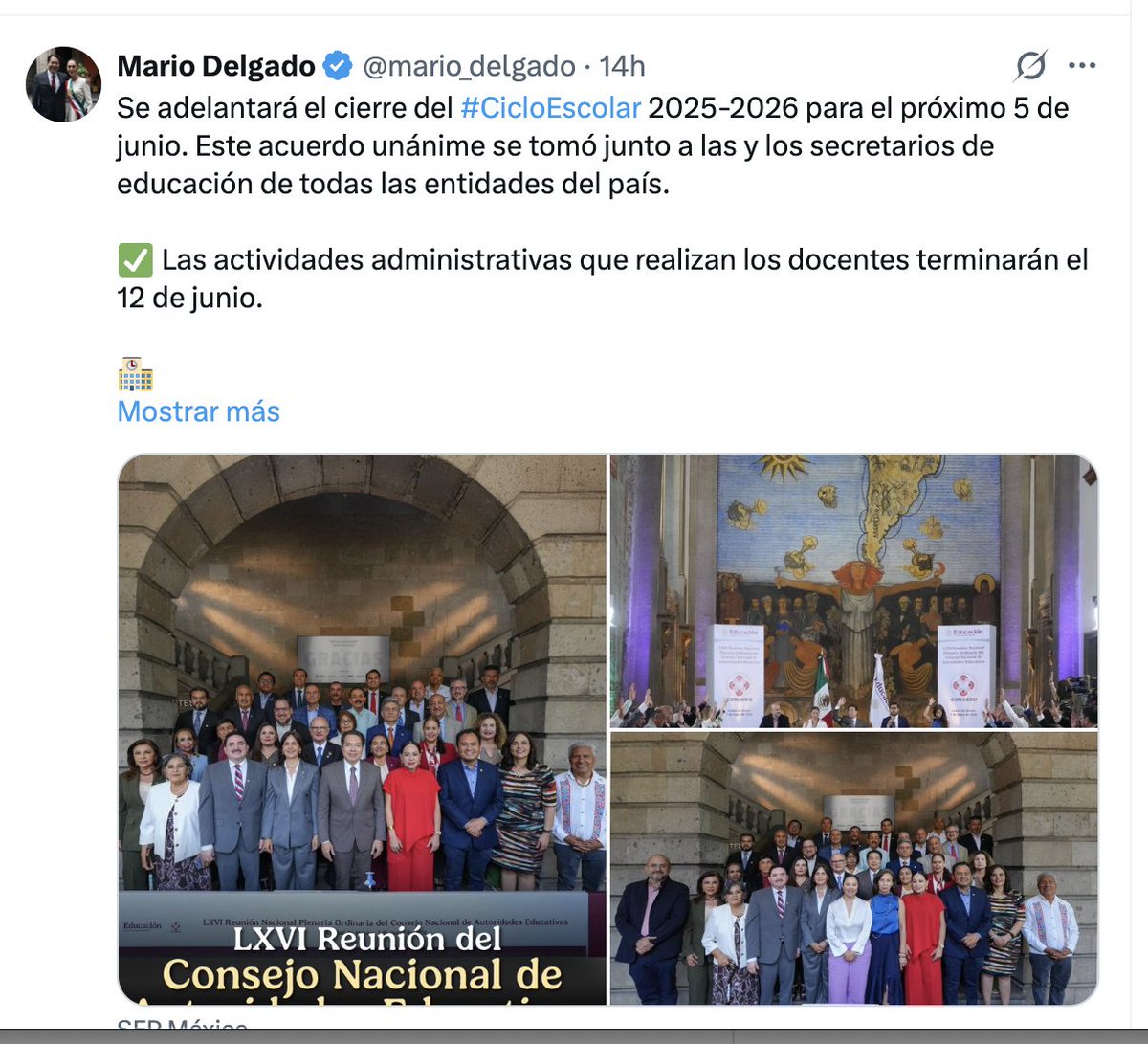 Carolina 🐾 tweet media