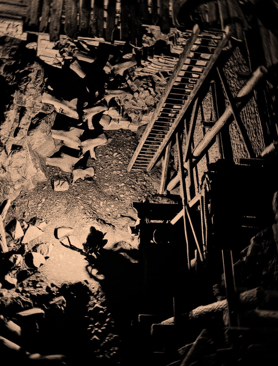 Synthetik_Soul tweet media