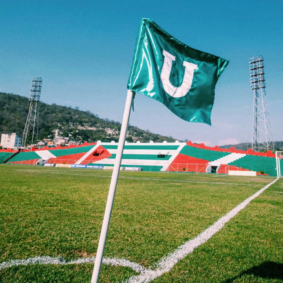 LDUPHincha's tweet photo. 💚 𝙷𝚘𝚢 𝚓𝚄𝚎𝚐𝚊 𝚕𝚊 Ⓤ. ¡No importa más nada! 🤍 https://t.co/XLmI8vkFJ3
