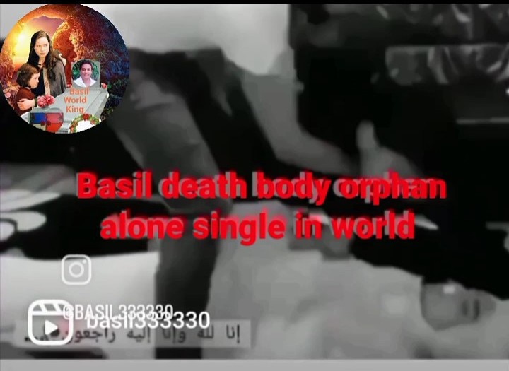 Basil lion alone tweet media