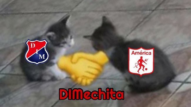 Bojack_Naranjoso14 tweet media