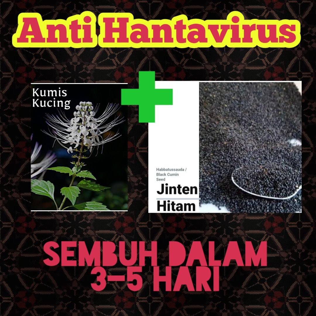TabibAris's tweet photo. Solution on polution https://t.co/iOcurhzWNk