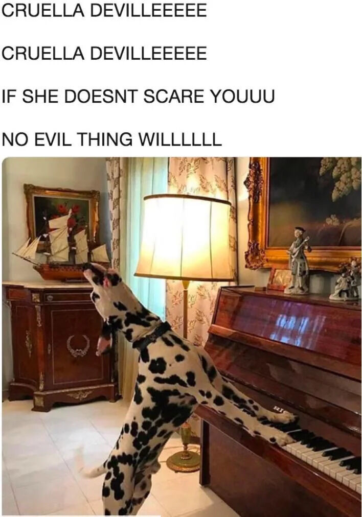 WholesomeMemes tweet media