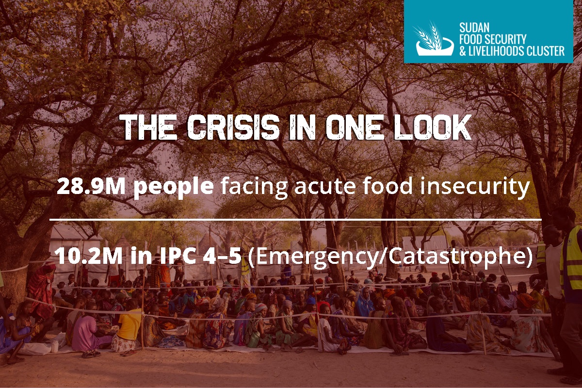 Food Security Cluster tweet media