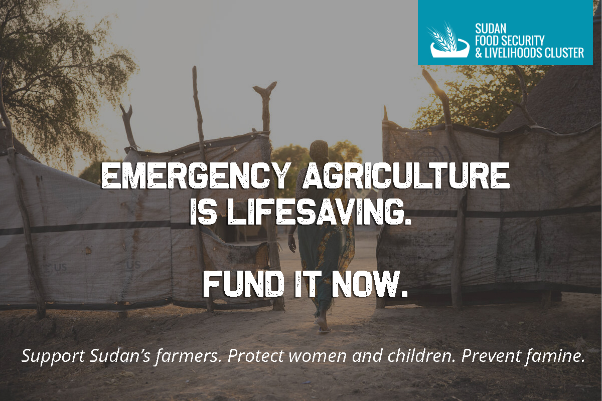 Food Security Cluster tweet media