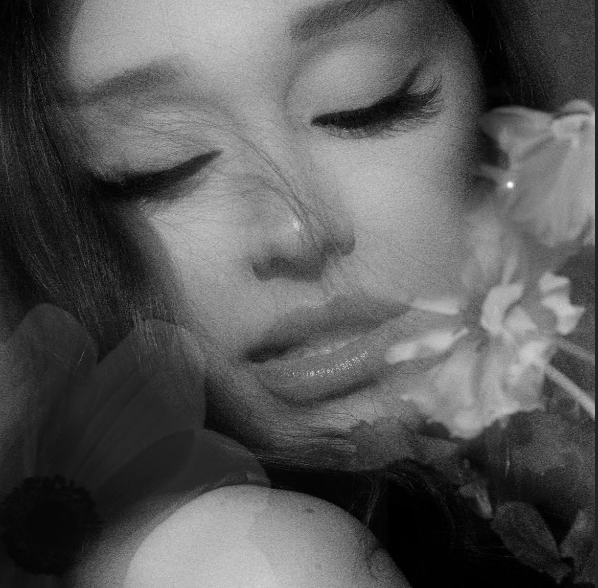 acervo ariana grande ꕤ tweet media