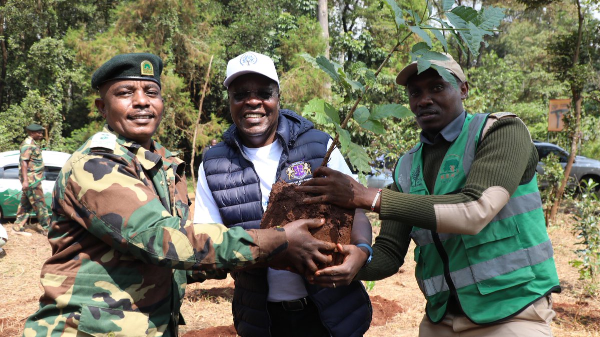 Kenya Forest Service tweet media