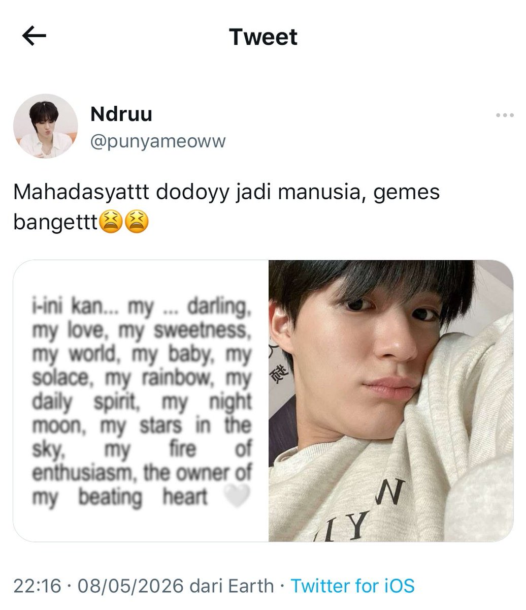 ji🦭 tweet media