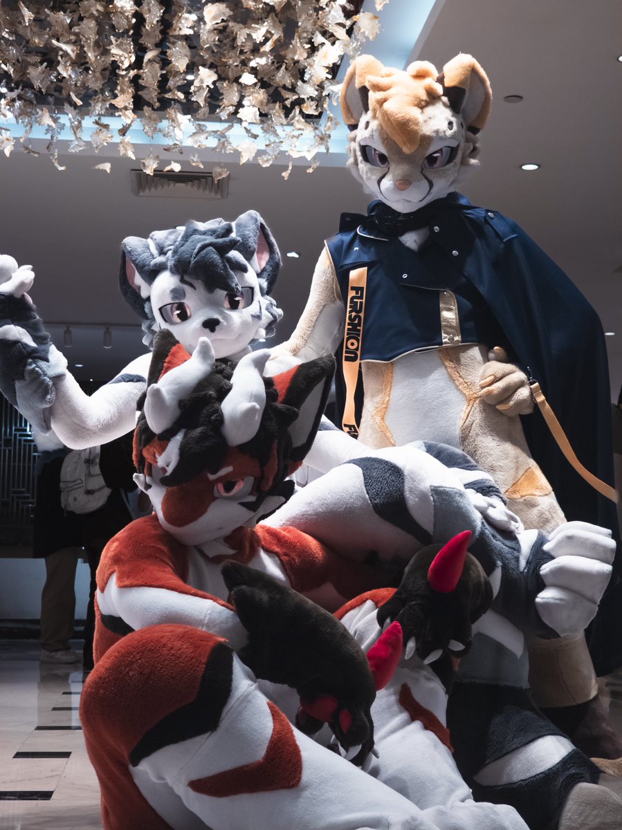 Furpolis / 虚構都市 tweet media