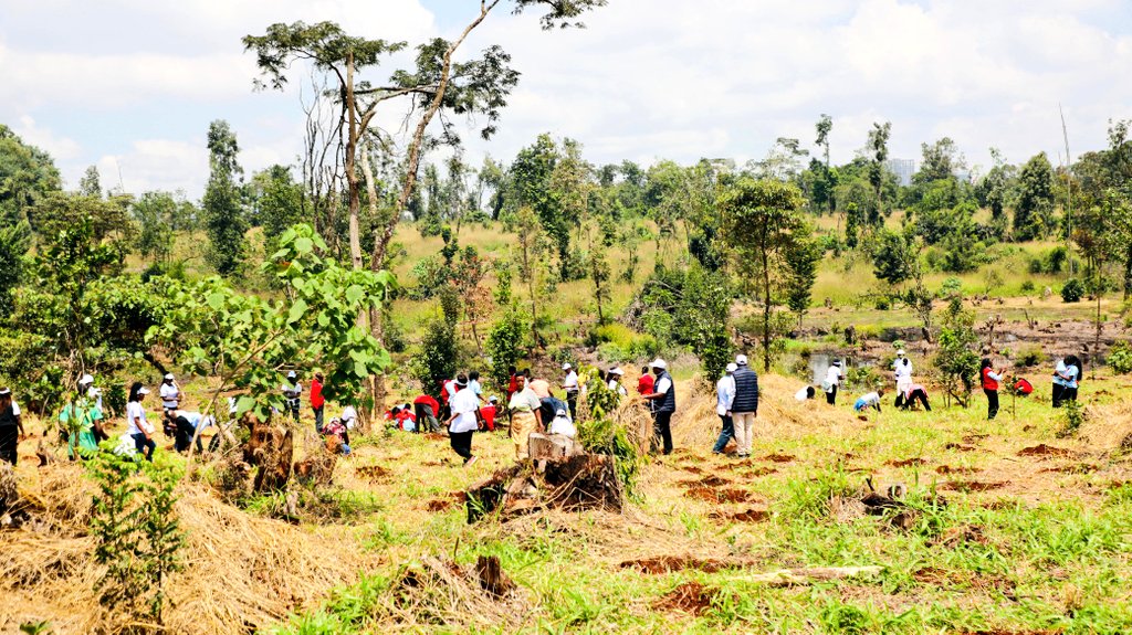 Kenya Forest Service tweet media