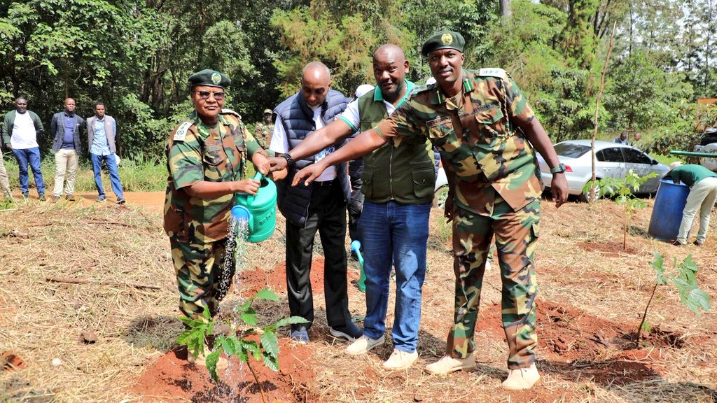 Kenya Forest Service tweet media