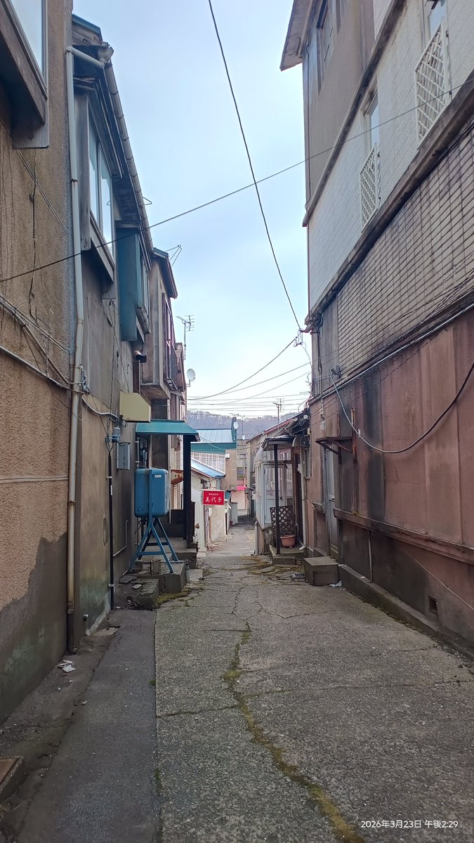 スプートニク tweet media