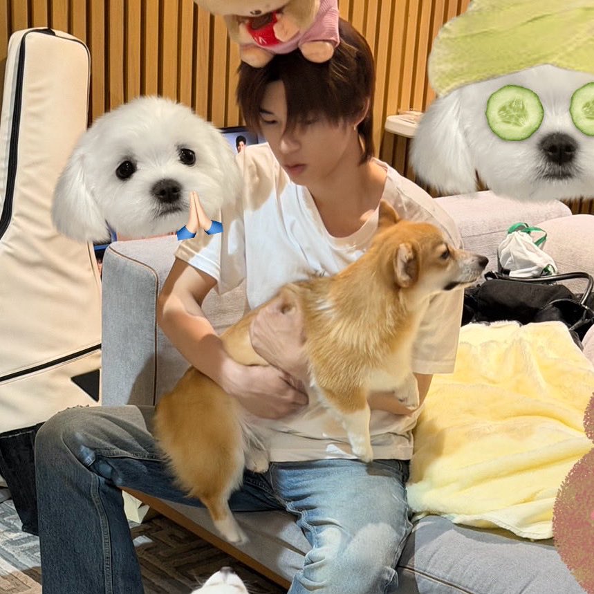 น้องป๋วย tweet media