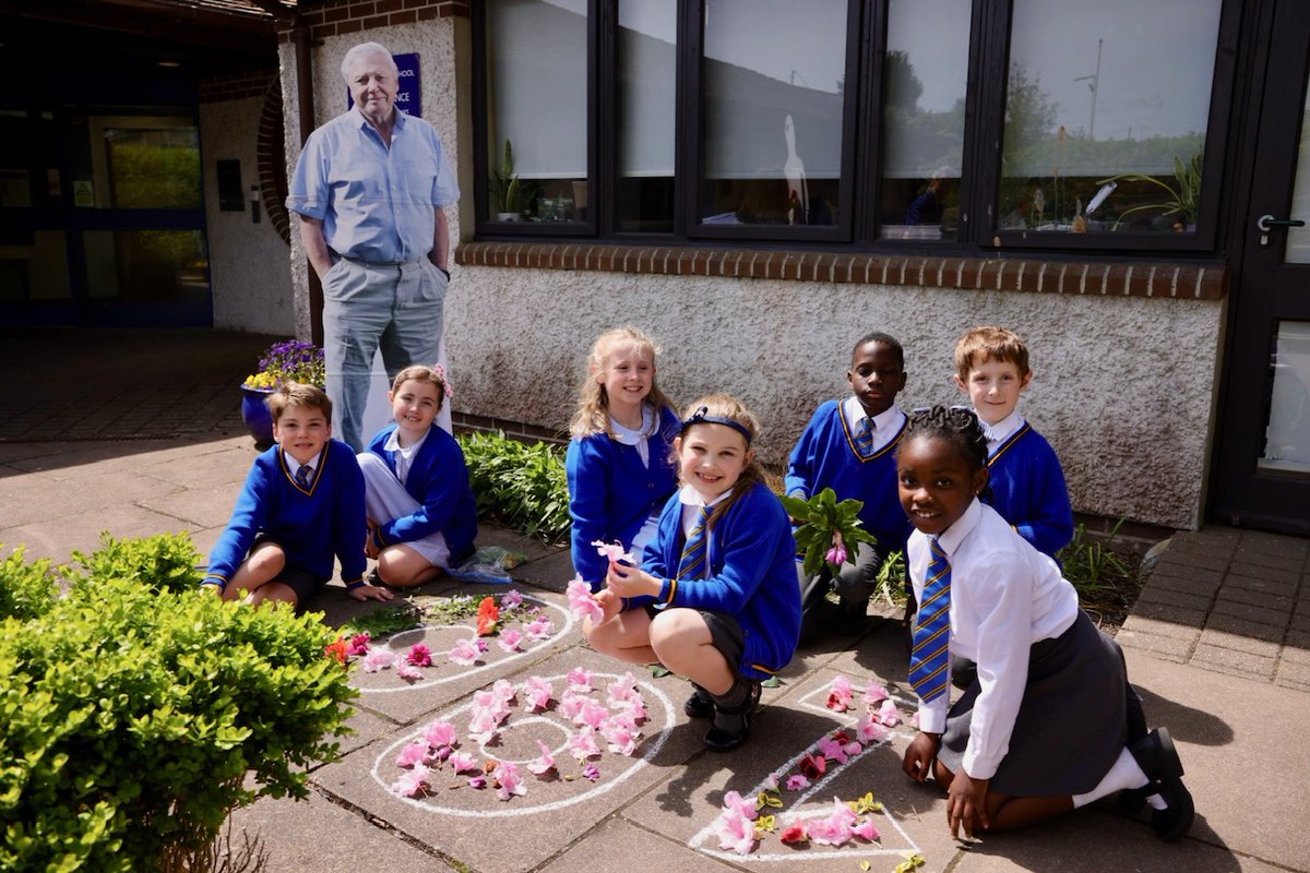 Cornwall Education Learning Trust tweet media