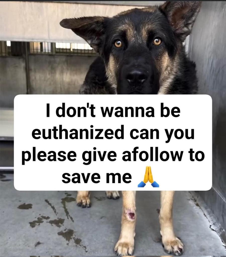 Lilly tweet media