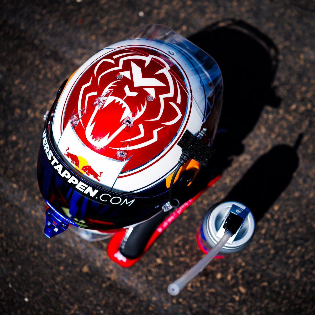 Max Verstappen tweet media