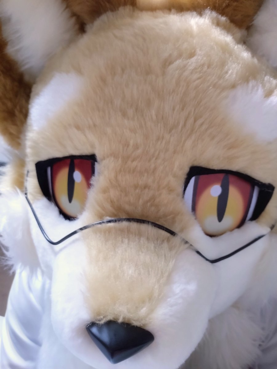 モフみをかんじる🦊