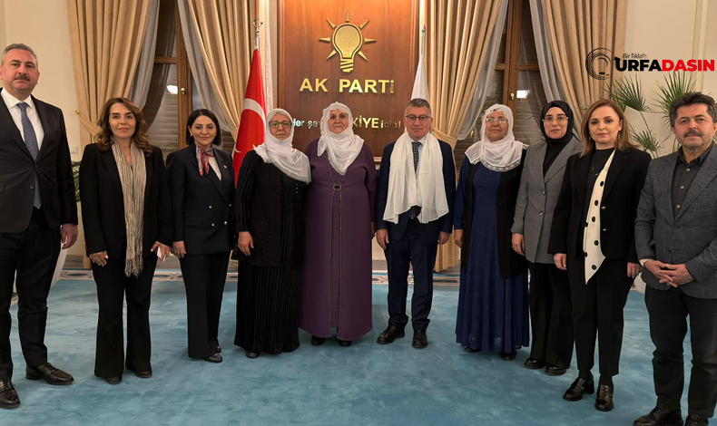 Urfadasın tweet media