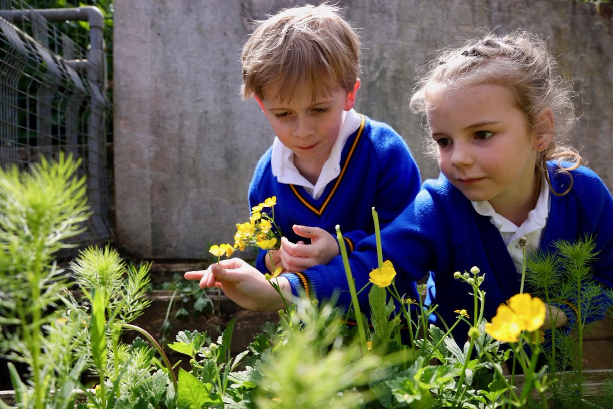 Cornwall Education Learning Trust tweet media