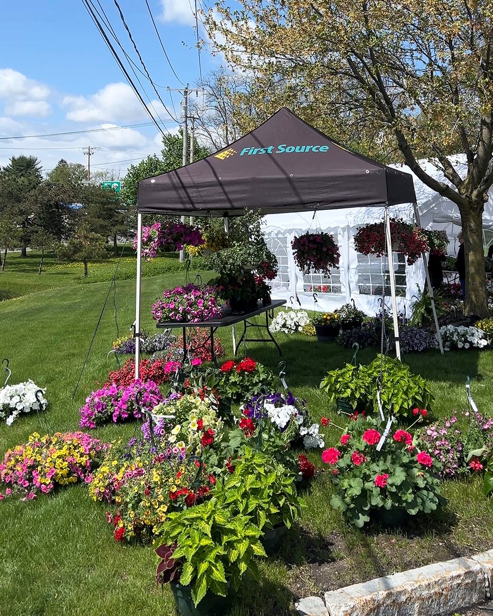 fsourcefcu's tweet photo. Last call for plant lovers! Stop by our Plant Sale today until 5 PM or Saturday from 9 AM–12 PM. Shop beautiful blooms from the Flower Barn in Ilion  while supporting a great cause—a portion of the proceeds benefit Anita’s Stevens Swan Humane Society. Don’t miss it! https://t.co/iofH1JNWoP