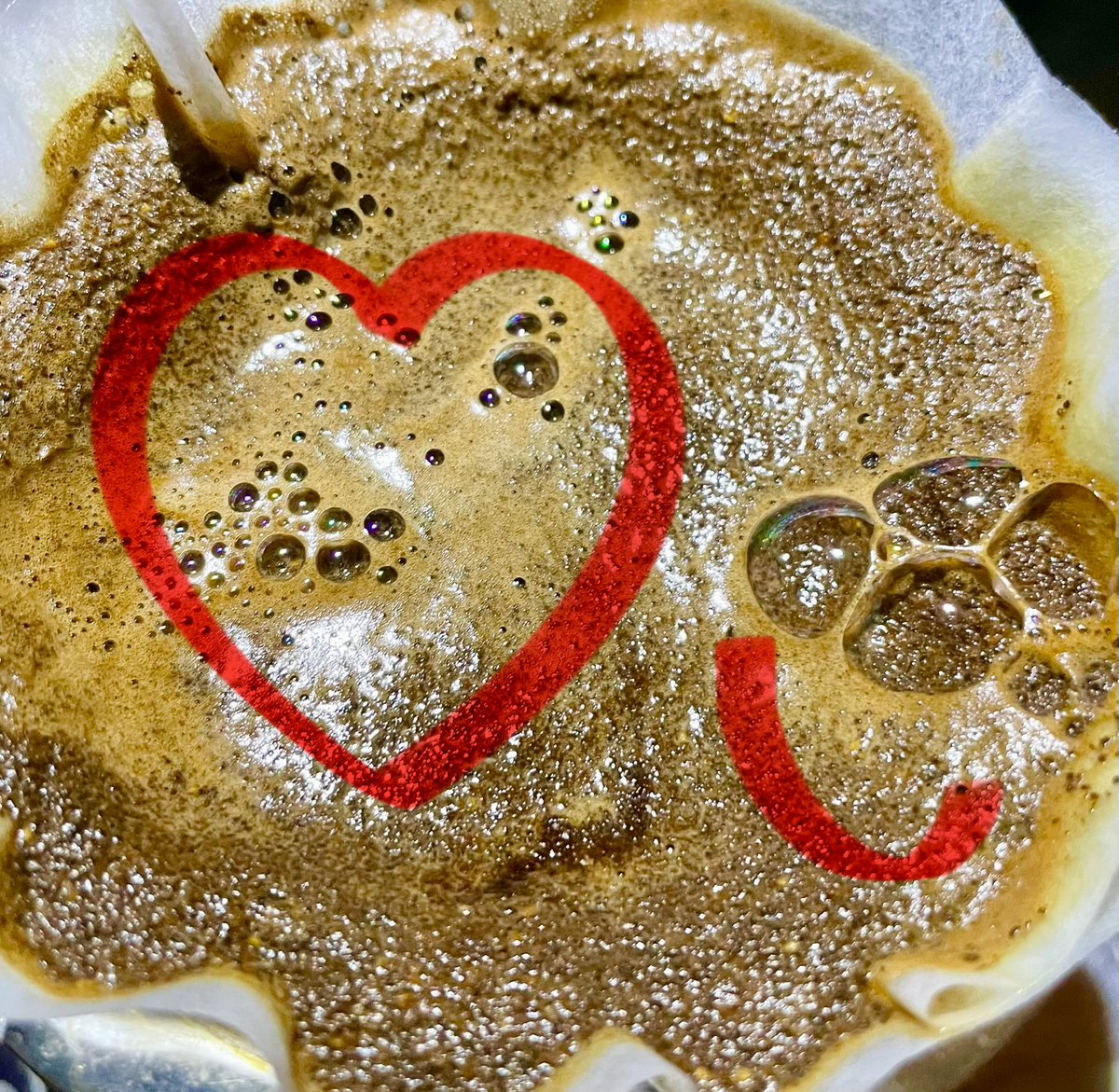 s_dimate's tweet photo. Excelente día a toda la tribu 😎colando café 💛💙❤️#islademargarita https://t.co/9rLpYC2Ecw