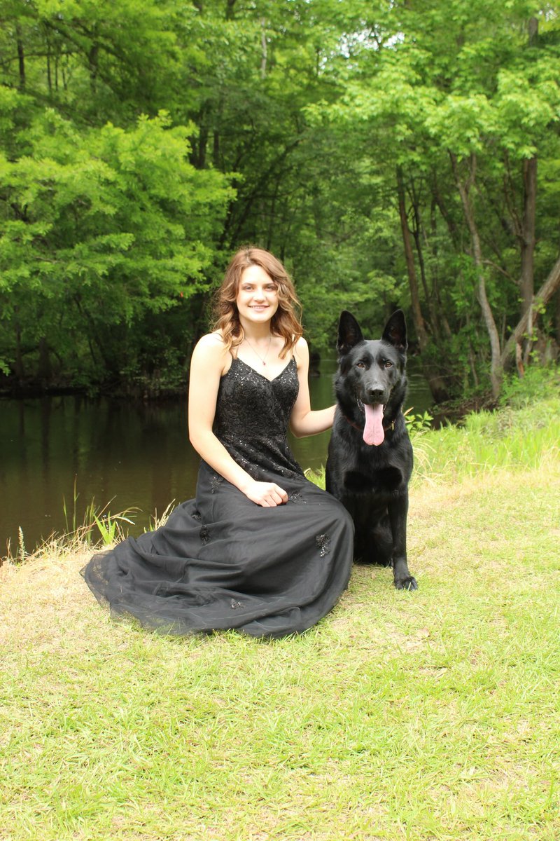 HarrisonK9AE's tweet photo. When you need the very best in family protection, you need a Harrison K9. #family #germanshepherd #blackgermanshepherd #gsd #prom https://t.co/2ktboOZitU