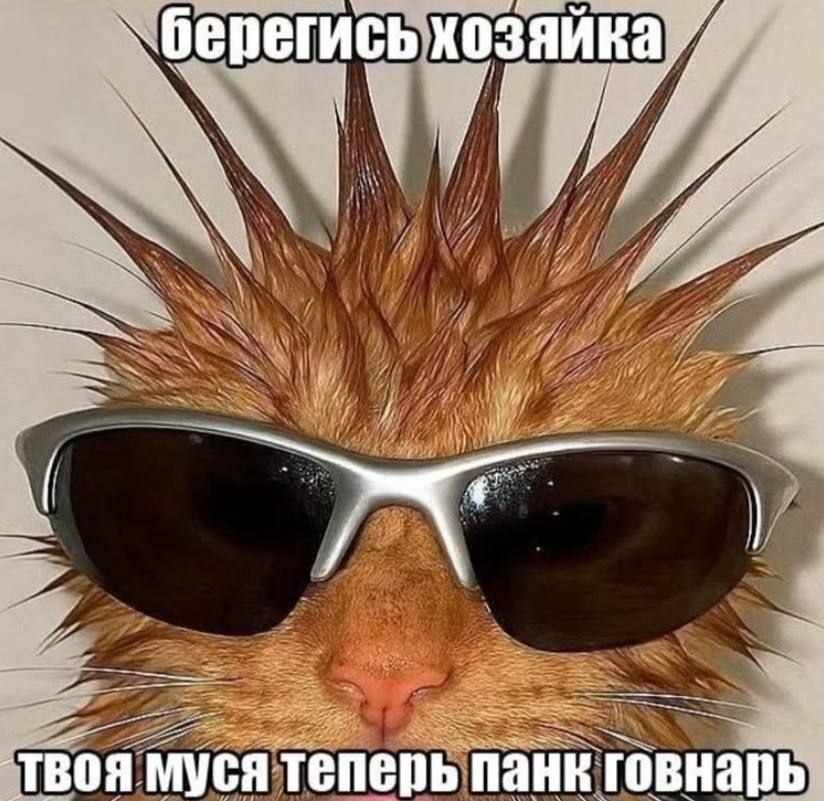Джулик (@juliamayko) on Twitter photo 