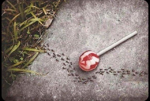 Nobody 

My mutuals avoiding my posts.