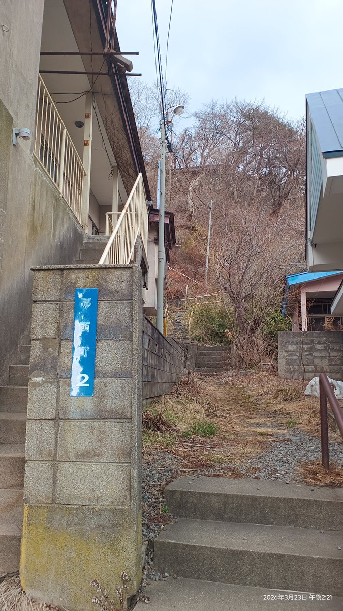 スプートニク tweet media