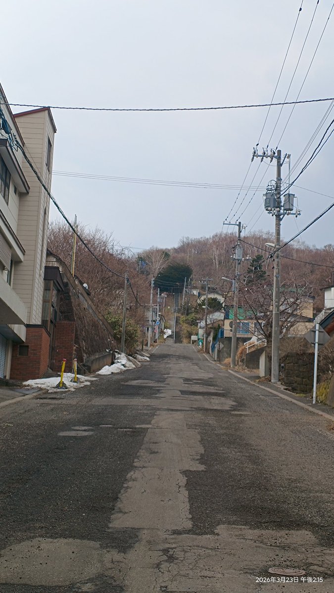 スプートニク tweet media